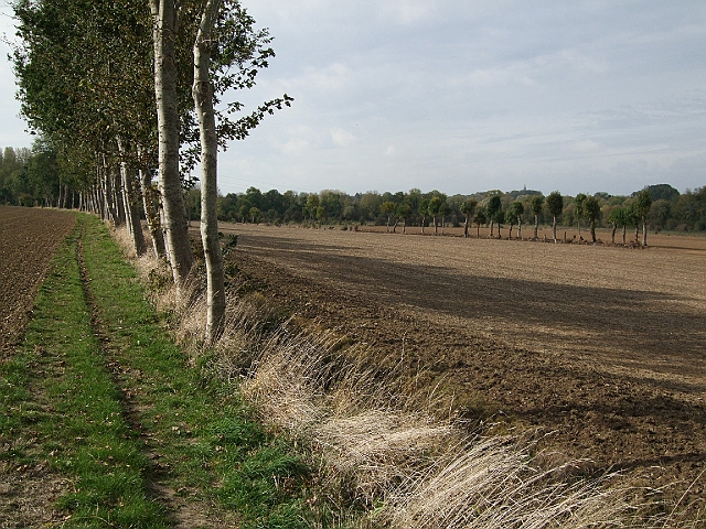 futur trail 018.jpg